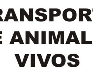 Placa de transporte de animales vivos
